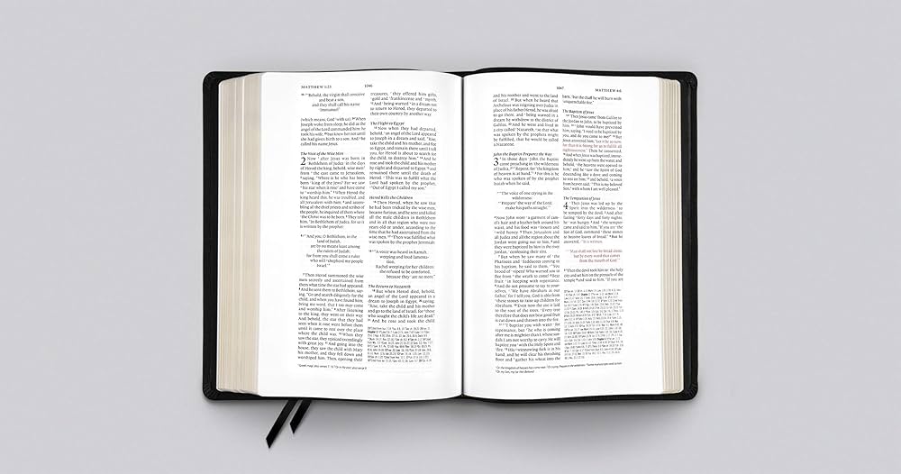 洋書 The HOLY BIBLE English standard version The Holy Bible: English Standard Version: Bible English